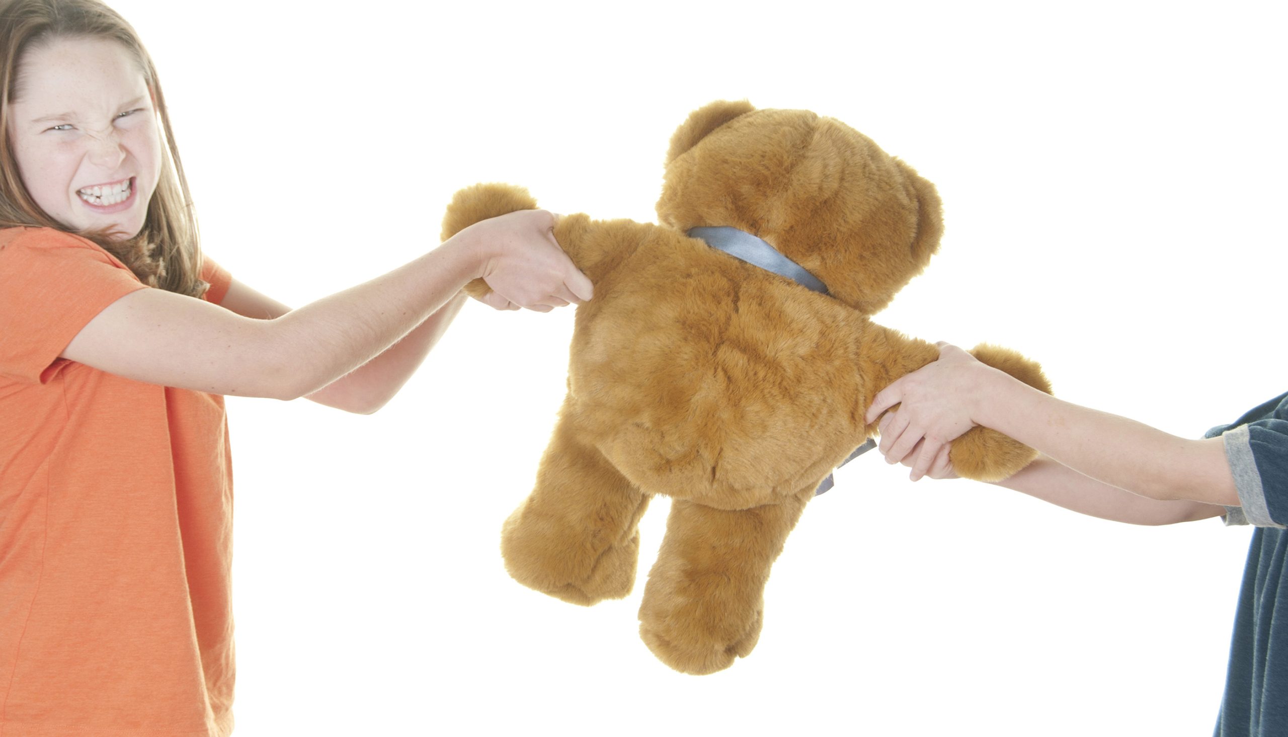 Kids fighting over teddy bear