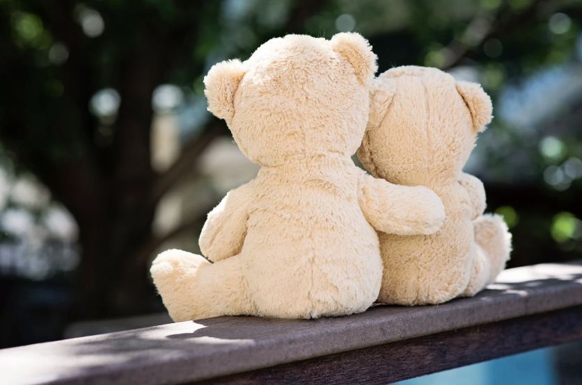 a teddy bear with its arm around another teddy bear