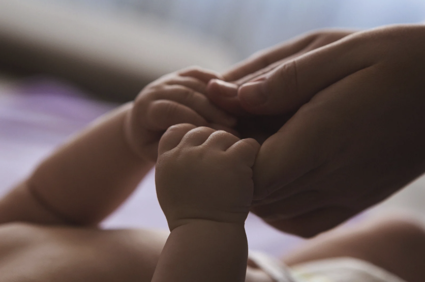 adult hands holding baby hands